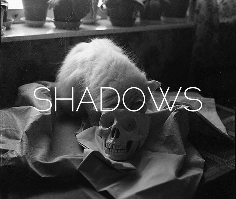 Album Art for "Shadows" by The New Division